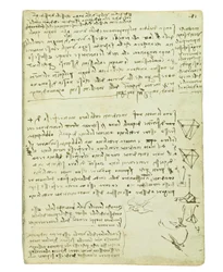 Codex sur le vol des oiseaux, Folio 11 recto